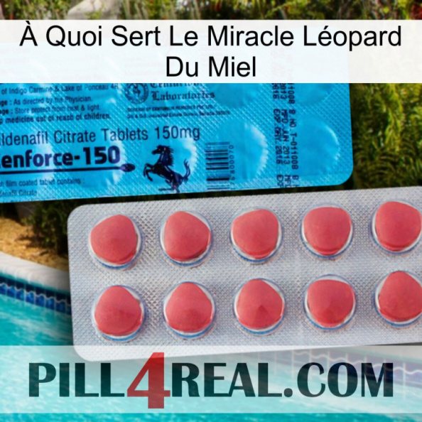 À Quoi Sert Le Miracle Léopard Du Miel new14.jpg